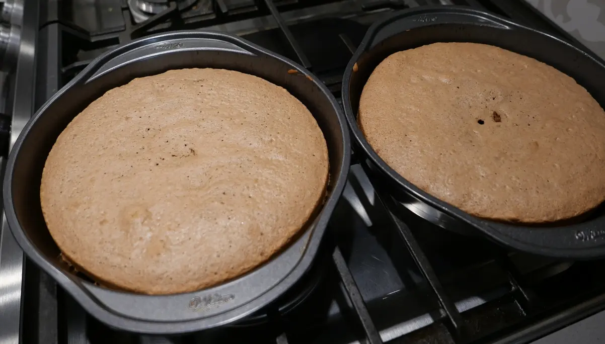 Two baked cake layers inside their pans.