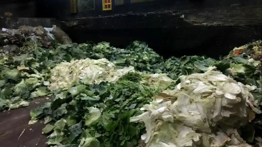 A large pile of leafy vegetables in the basement of a building.