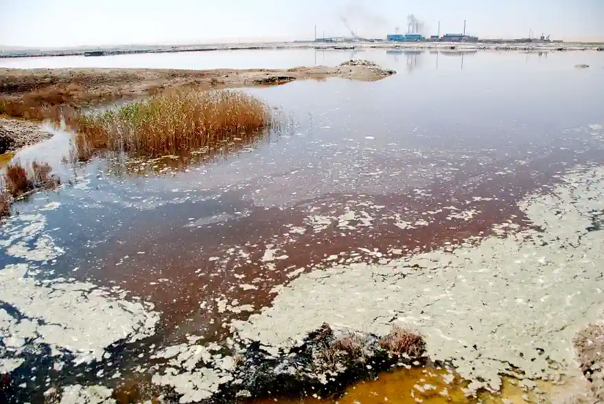 A brown body of water, the plants growing in it are also brown. A factory emitting smoke can be seen in the distance.