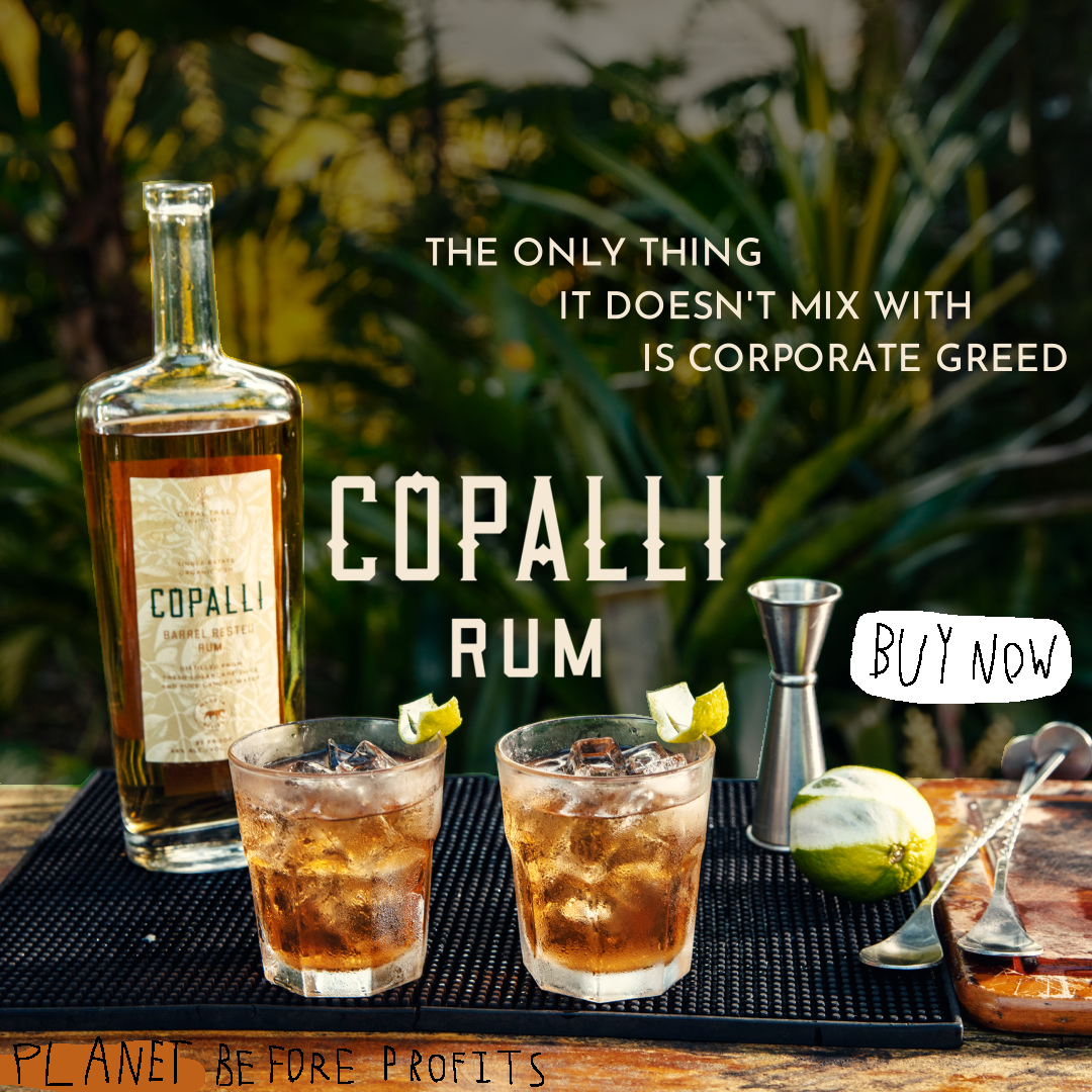 Ad. A Copalli Rum bottle and two shots of rum sit on a counter in a tropical forest. The 'Buy Now' and 'Planet before profits' text is sketched. Text: The only thing it doesn't mix with is corporate greed. Copalli Rum.