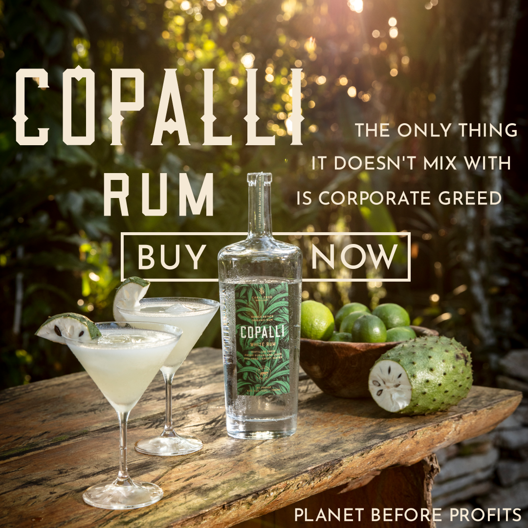 Ad. A Copalli Rum bottle and two cocktail glasses sit on a counter in a tropical forest. Text: Copalli Rum. The only thing it doesn't mix with is corporate greed. Buy now. Planet before Profits.